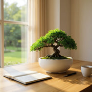 Bonsai-Topf